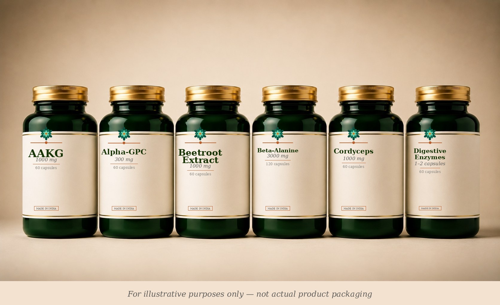 Workout Performance supplement stack (illustrative)