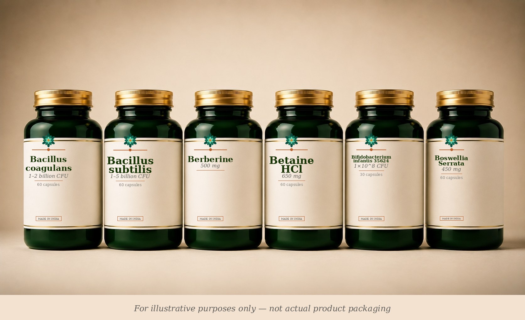 Digestive Health supplement stack (illustrative)