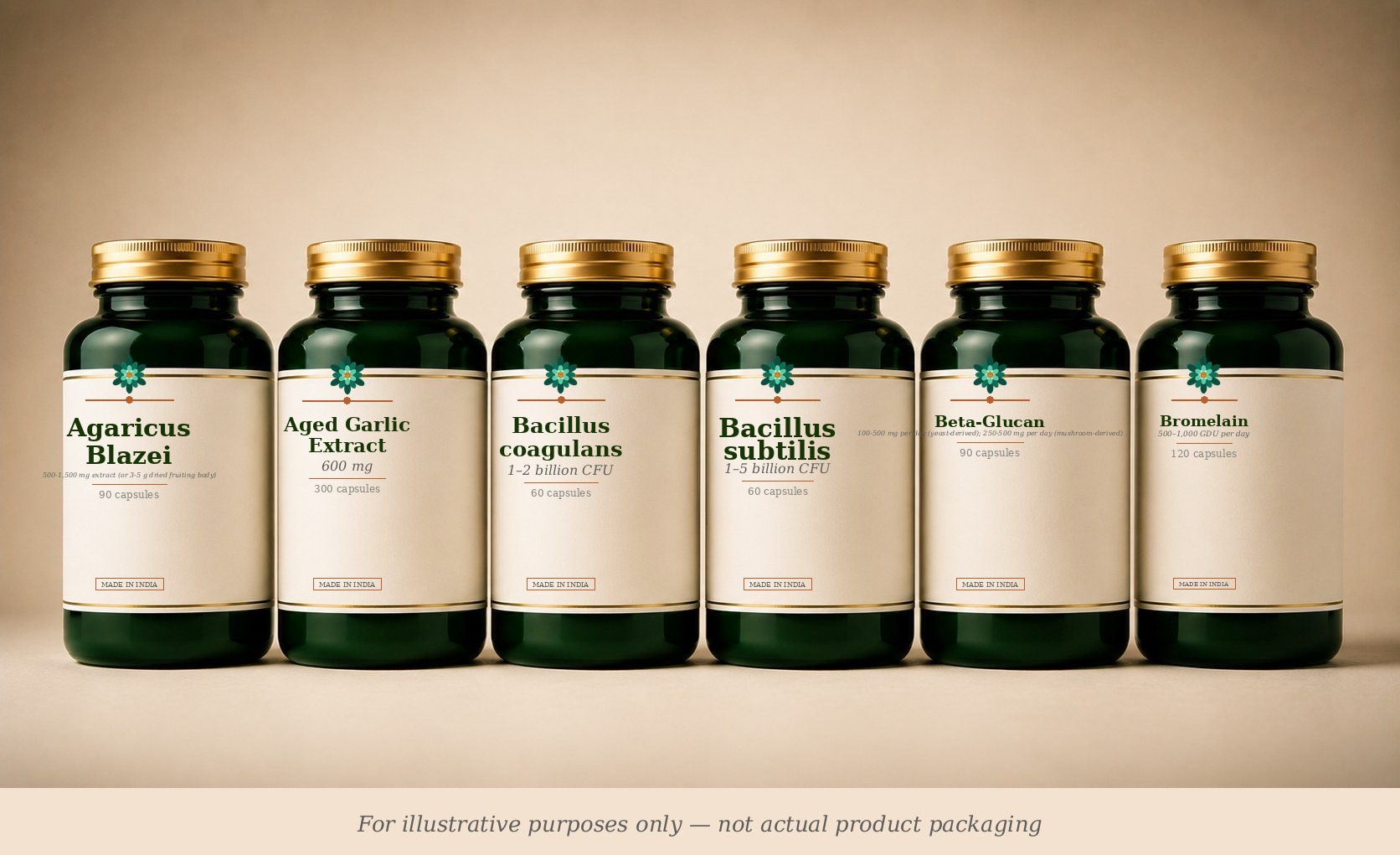 Immune Support supplement stack (illustrative)