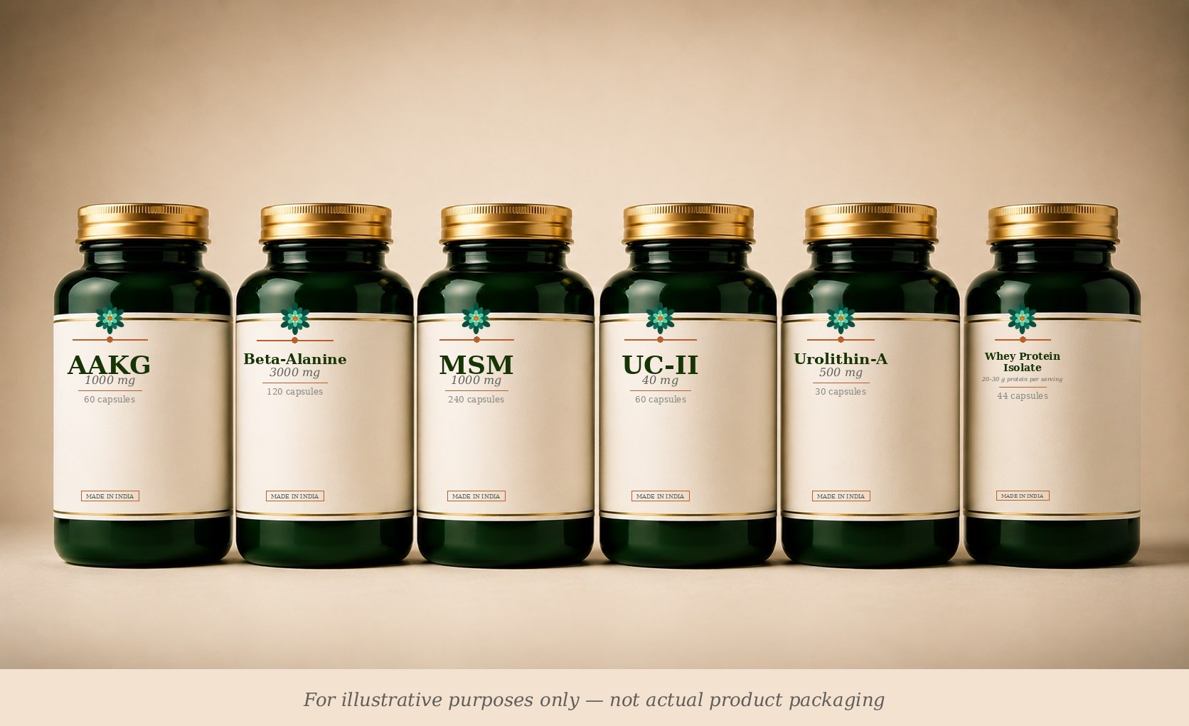 Muscle Building & Recovery supplement stack (illustrative)