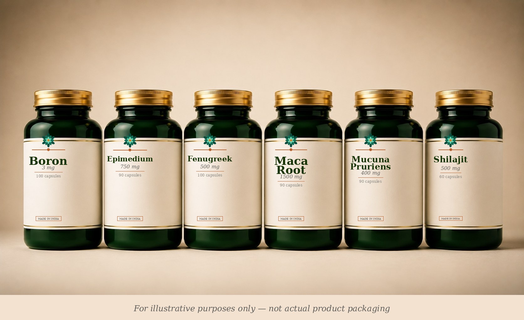 Men's Hormone Support supplement stack (illustrative)