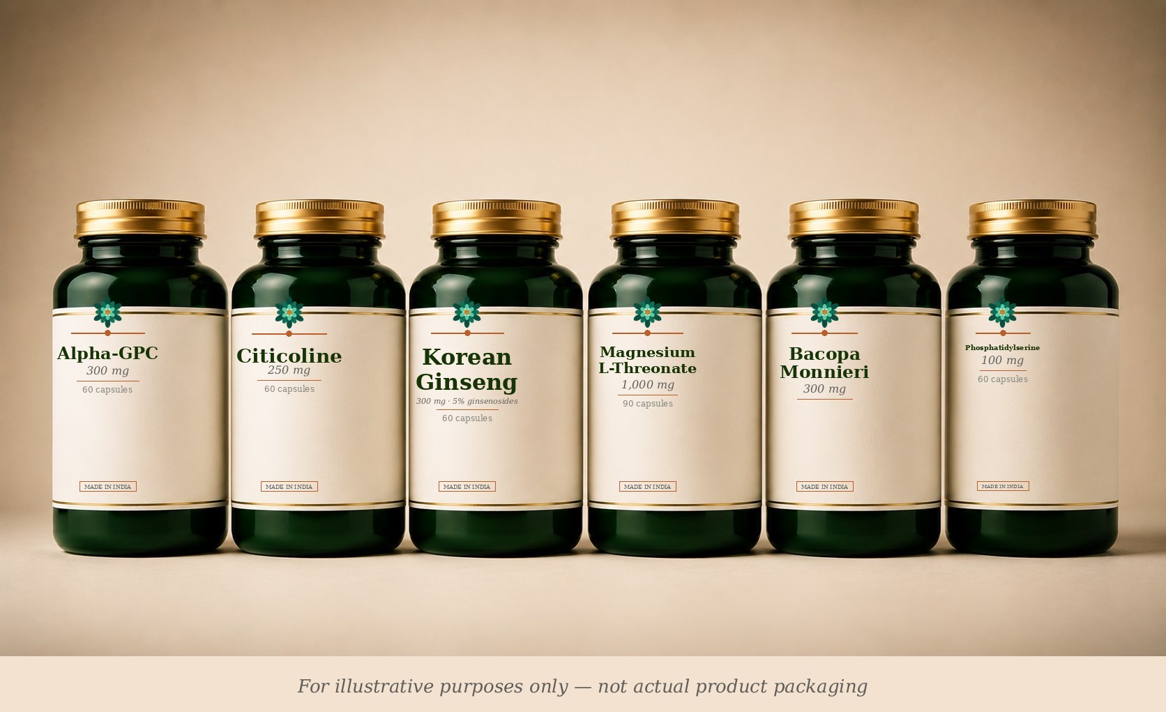 Deep Work Session supplement stack (illustrative)